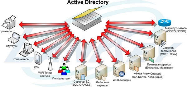 Active Directory в Windows